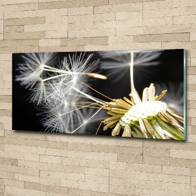 Wall art acrylic Dandelion seeds