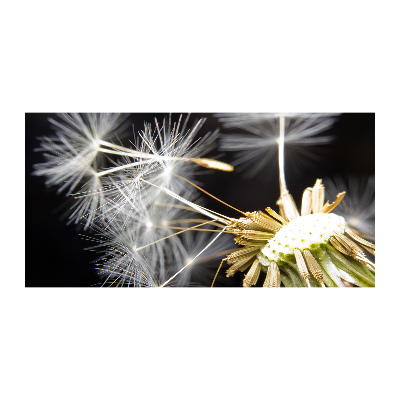 Wall art acrylic Dandelion seeds