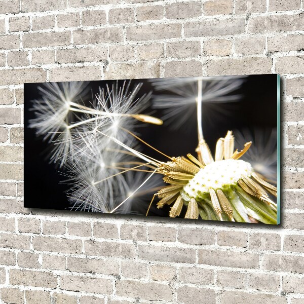 Wall art acrylic Dandelion seeds