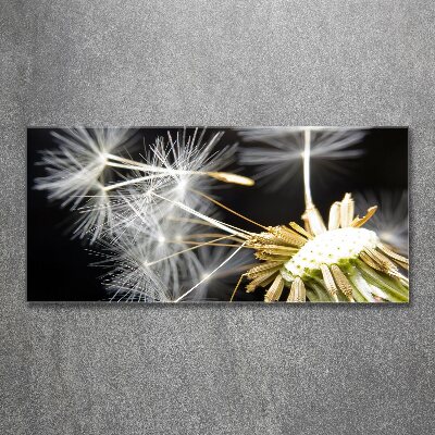 Wall art acrylic Dandelion seeds