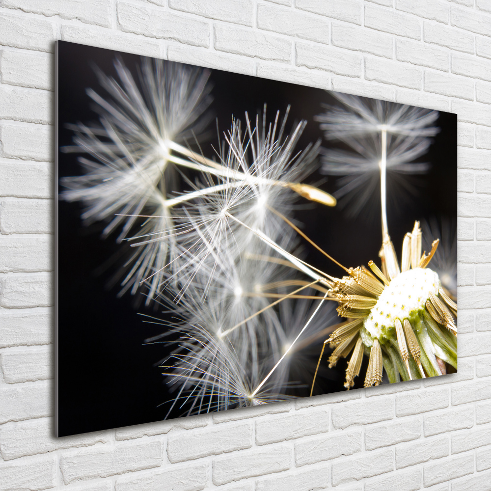 Wall art acrylic Dandelion seeds