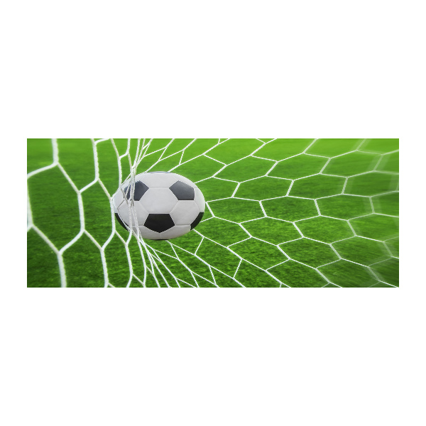 Acrylic wall art Ball in the goal