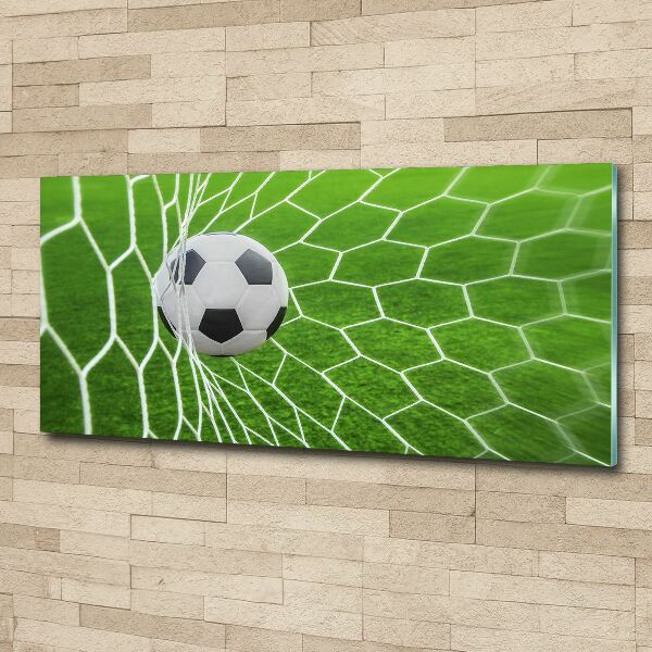 Acrylic wall art Ball in the goal