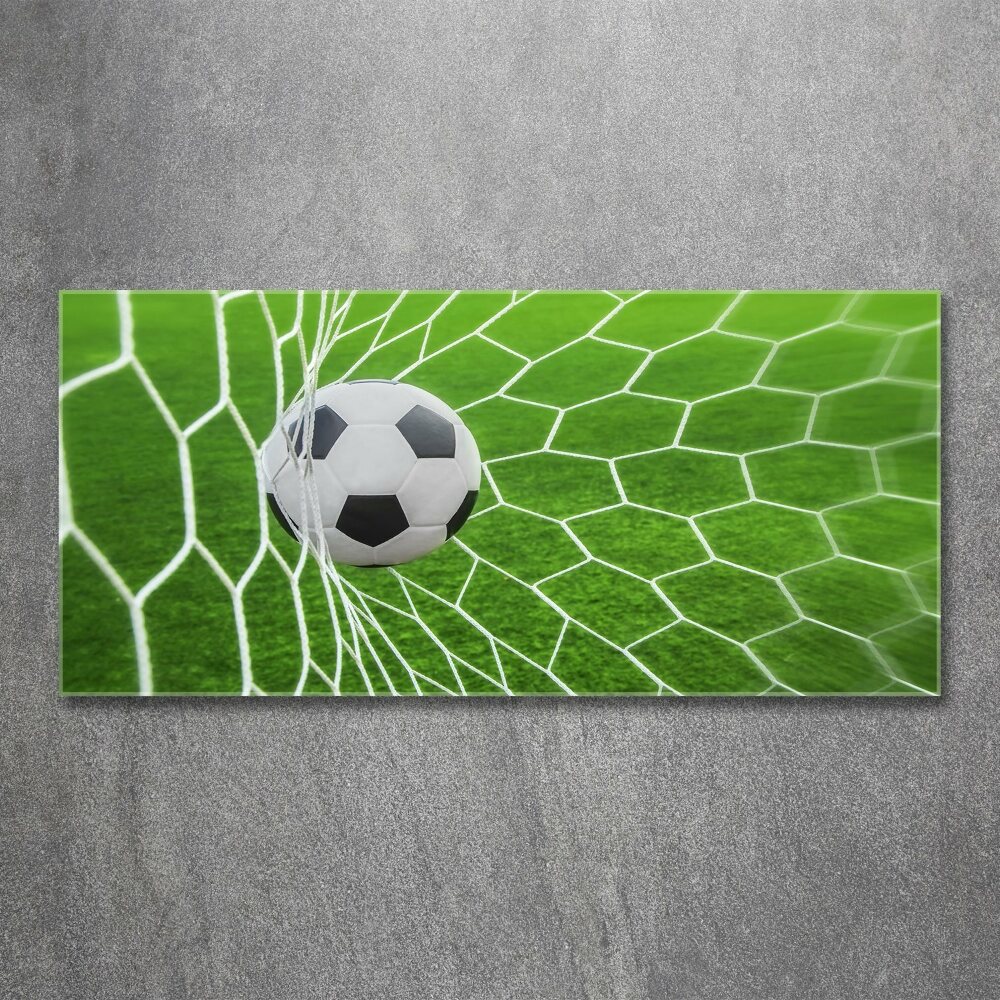 Acrylic wall art Ball in the goal