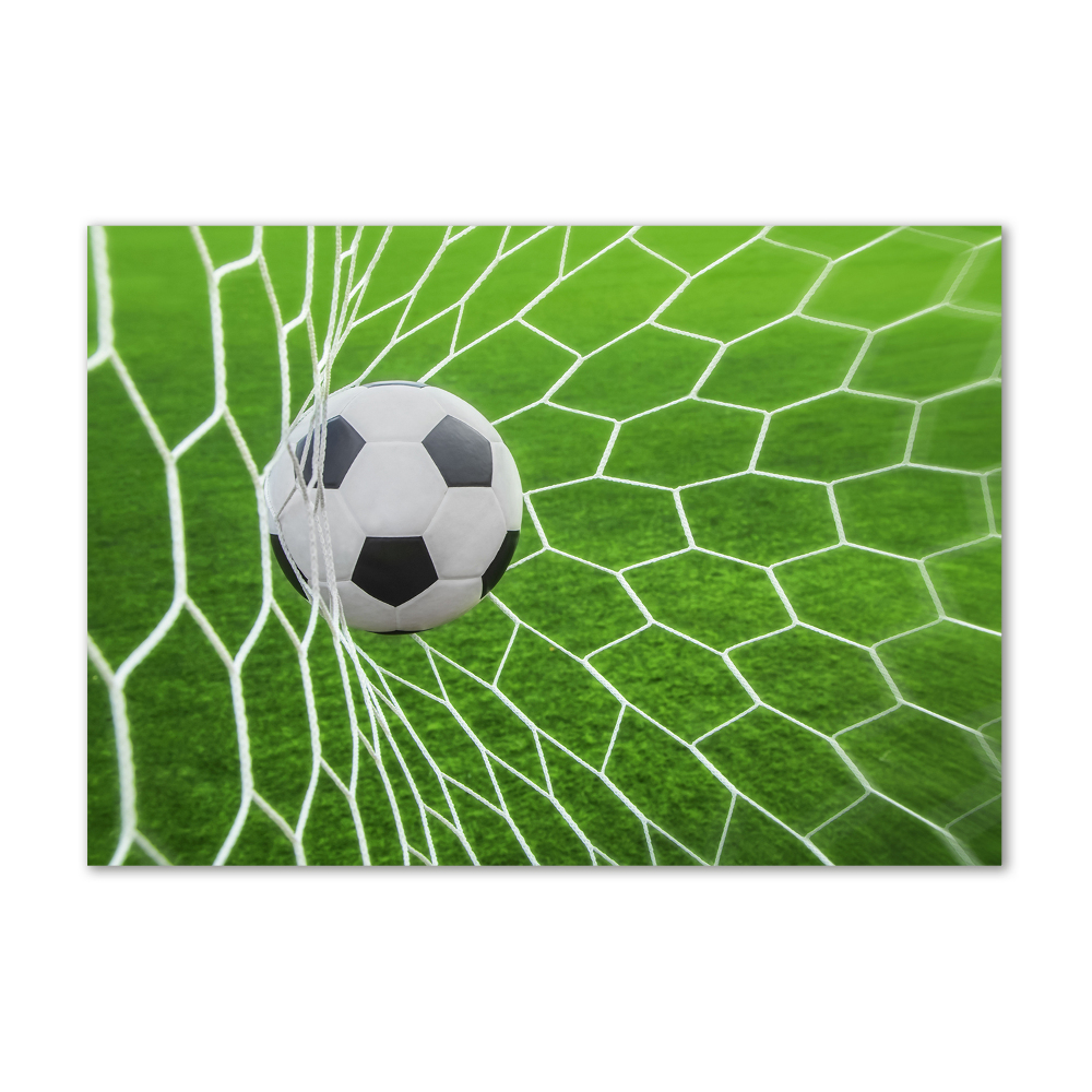 Acrylic wall art Ball in the goal