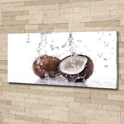 Acrylic wall art Coconut and water