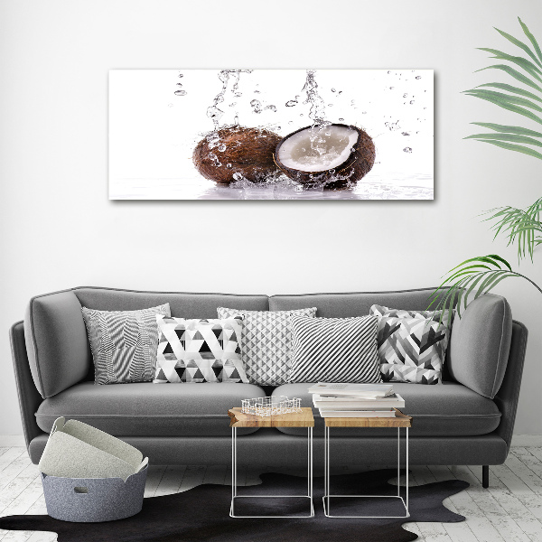 Acrylic wall art Coconut and water