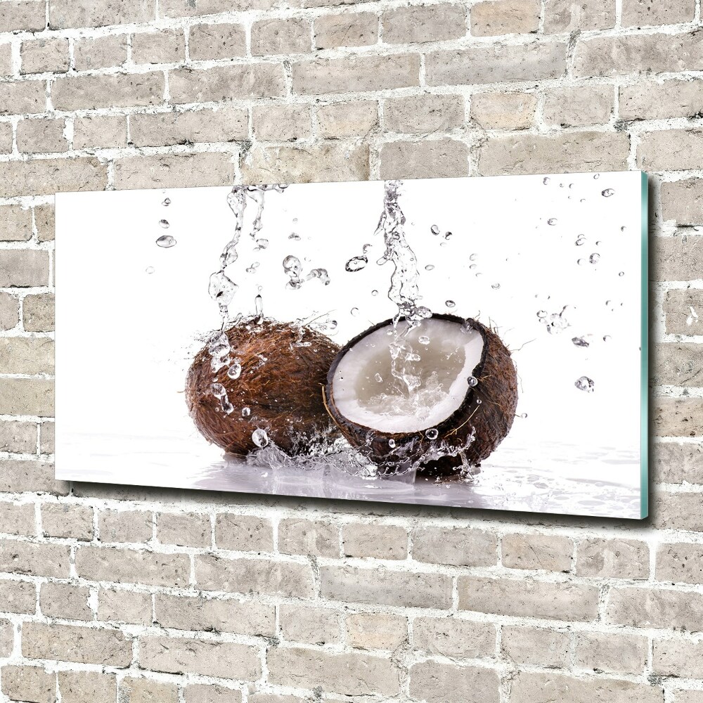 Acrylic wall art Coconut and water