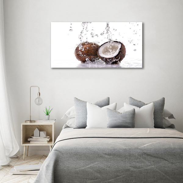 Acrylic wall art Coconut and water