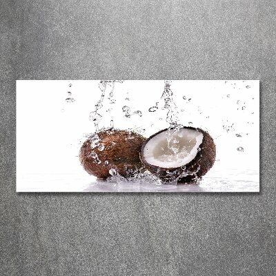 Acrylic wall art Coconut and water