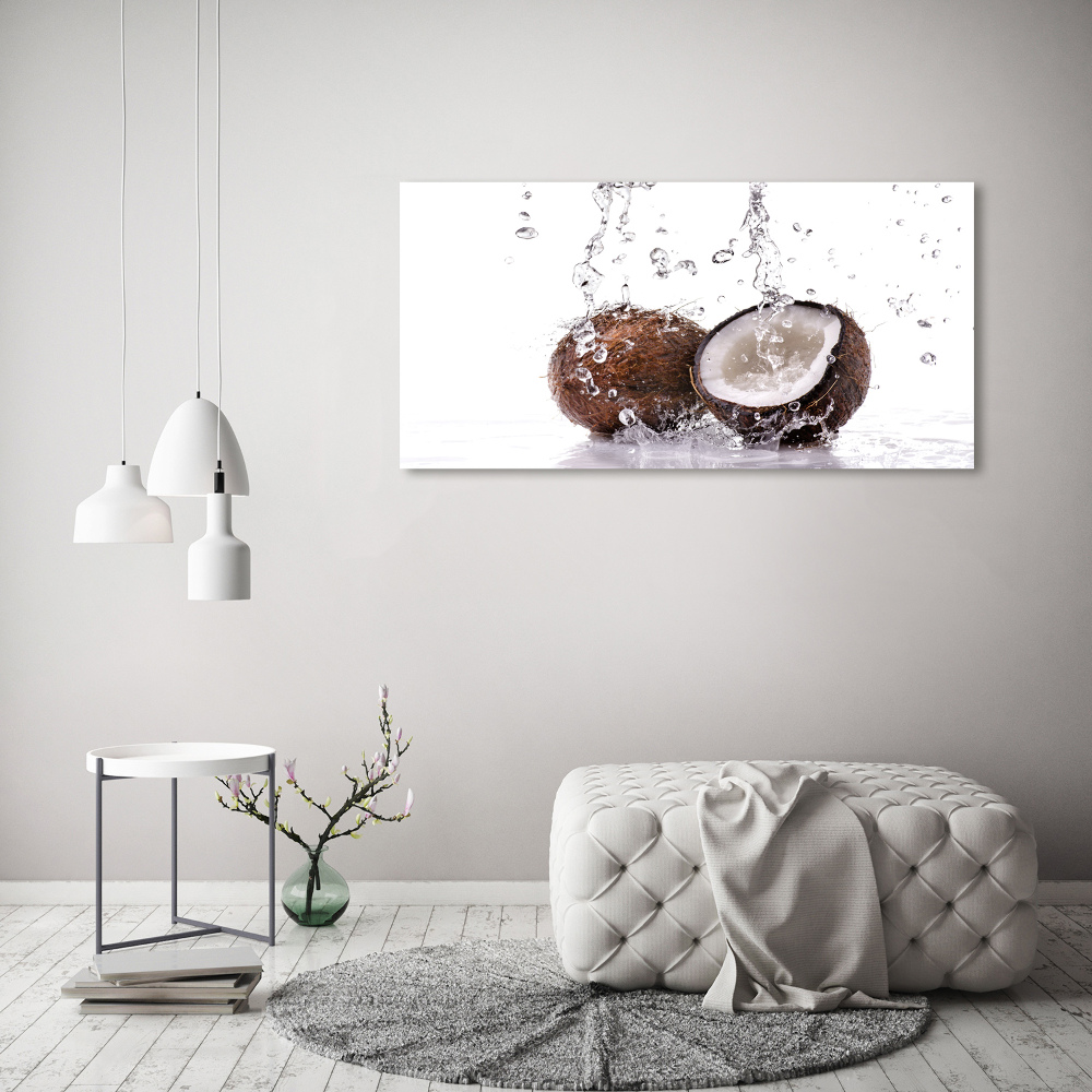 Acrylic wall art Coconut and water