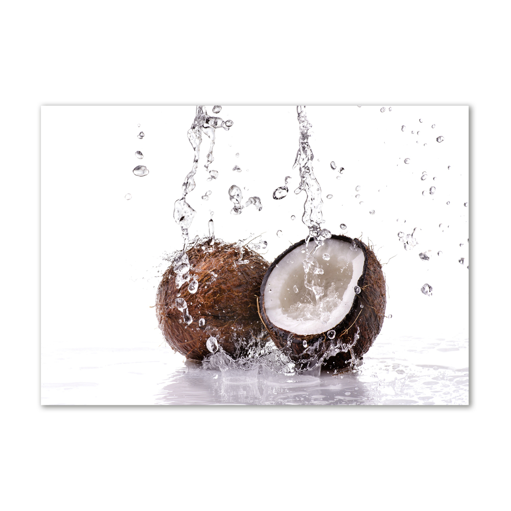 Acrylic wall art Coconut and water