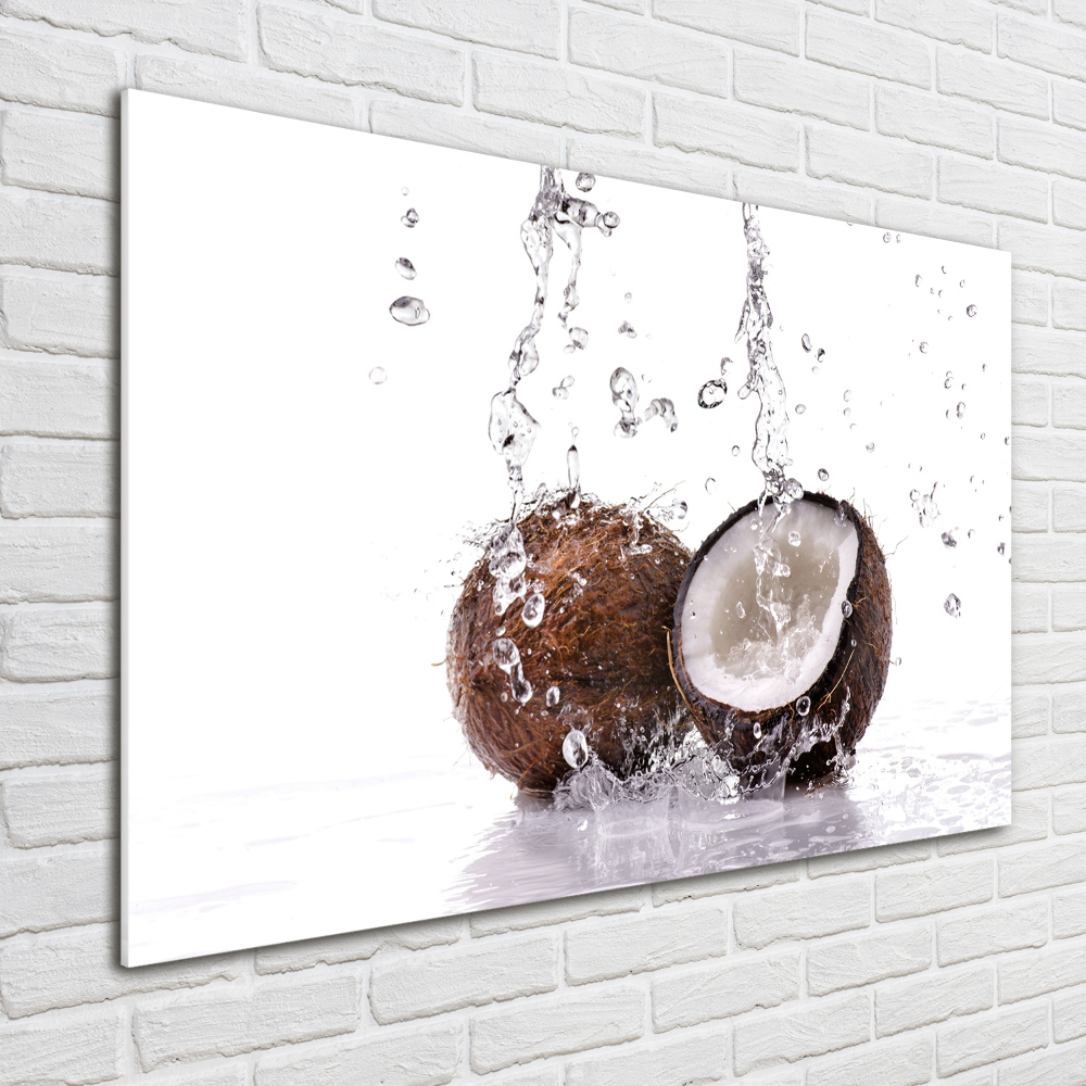 Acrylic wall art Coconut and water