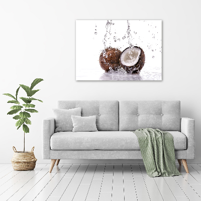 Acrylic wall art Coconut and water