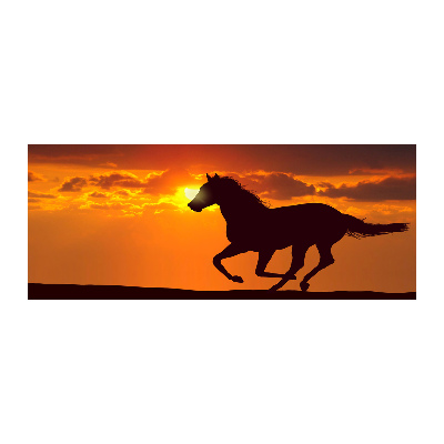 Acrylic wall art Sunset horse