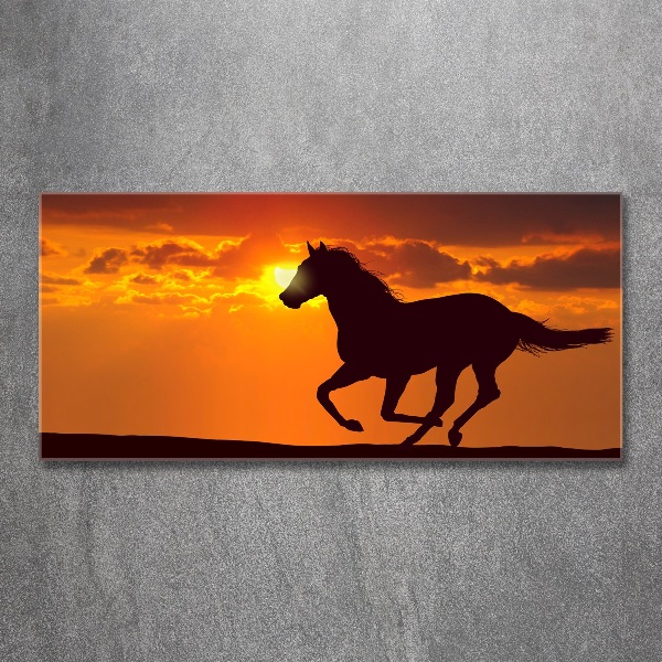 Acrylic wall art Sunset horse