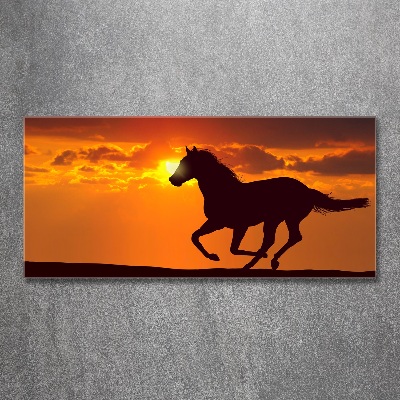 Acrylic wall art Sunset horse