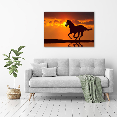 Acrylic wall art Sunset horse