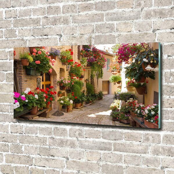 Acrylic print Charming street