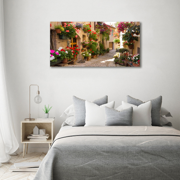 Acrylic print Charming street