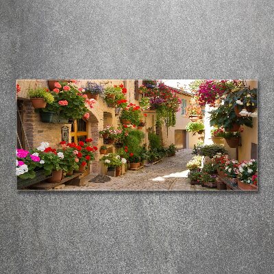 Acrylic print Charming street