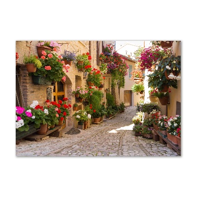 Acrylic print Charming street