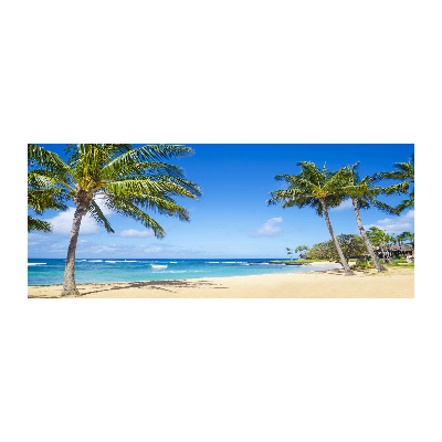 Acrylic wall art Tropical beach