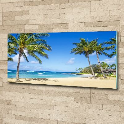 Acrylic wall art Tropical beach