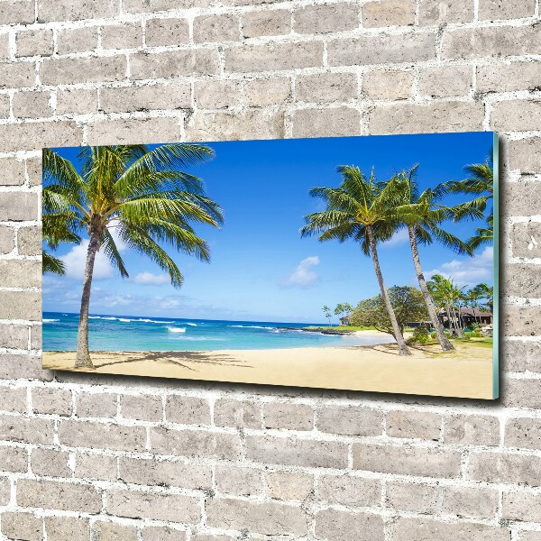 Acrylic wall art Tropical beach