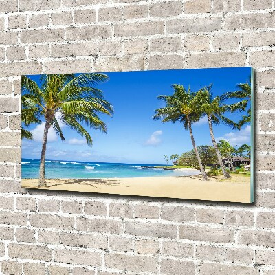 Acrylic wall art Tropical beach