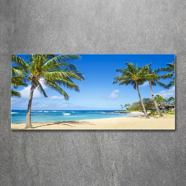 Acrylic wall art Tropical beach