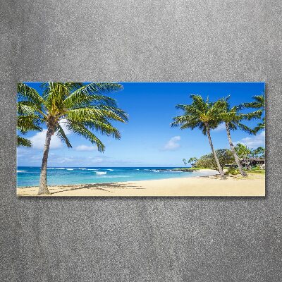 Acrylic wall art Tropical beach