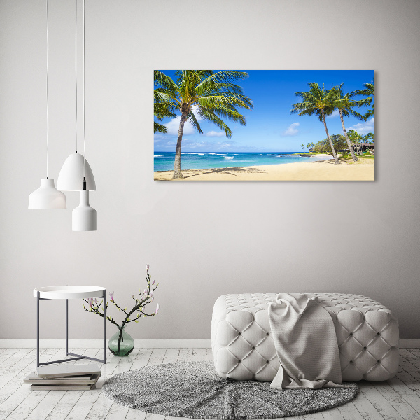 Acrylic wall art Tropical beach