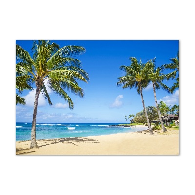 Acrylic wall art Tropical beach