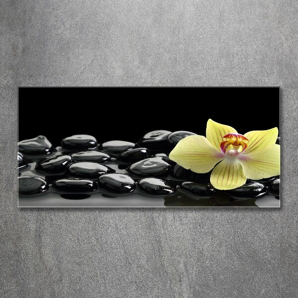 Wall art acrylic Orchid