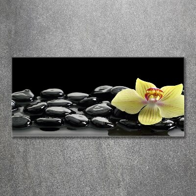 Wall art acrylic Orchid