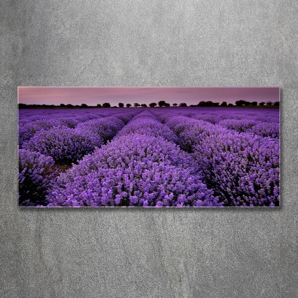 Acrylic wall art Lavender field