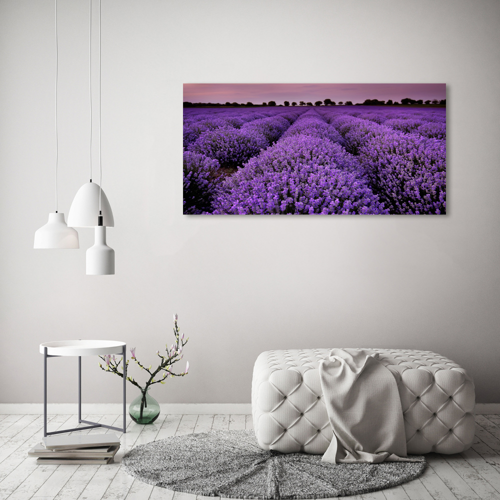 Acrylic wall art Lavender field