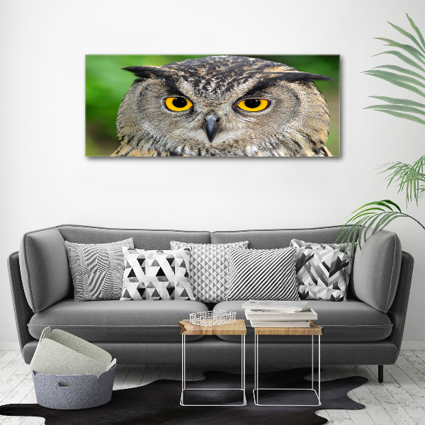 Acrylic wall art Owl