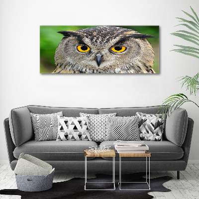 Acrylic wall art Owl