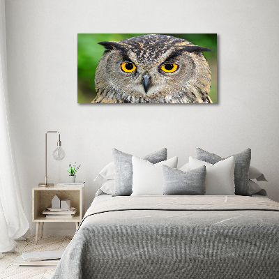 Acrylic wall art Owl