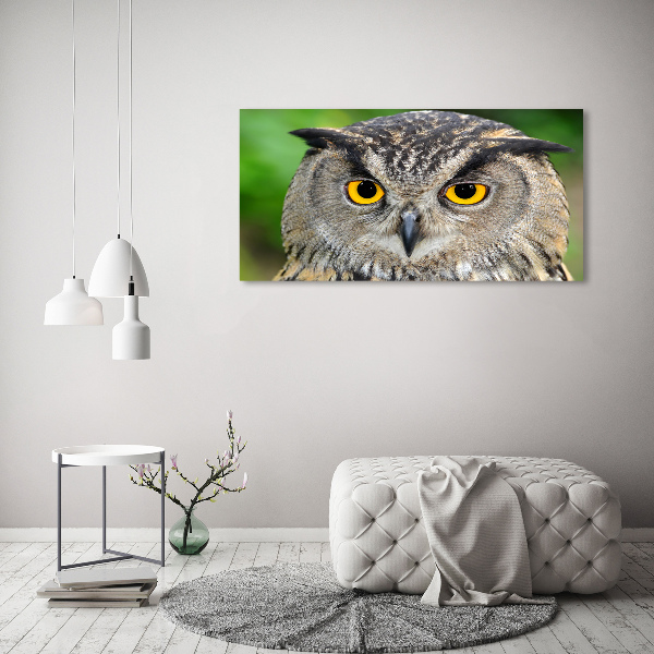 Acrylic wall art Owl