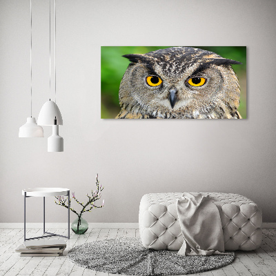 Acrylic wall art Owl