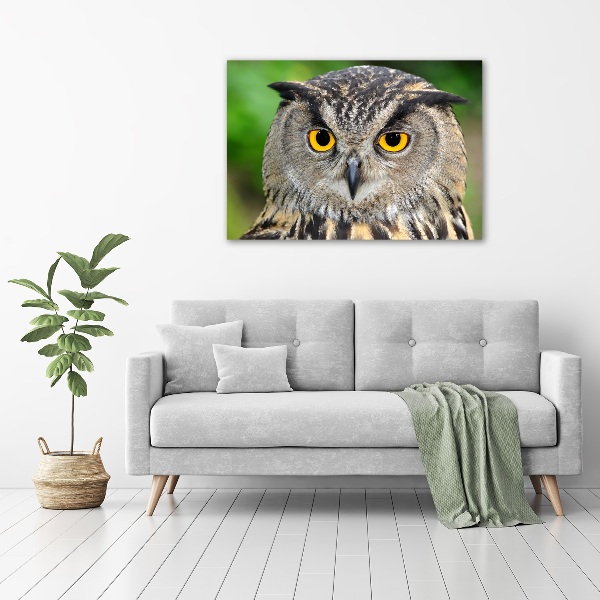 Acrylic wall art Owl