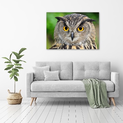 Acrylic wall art Owl