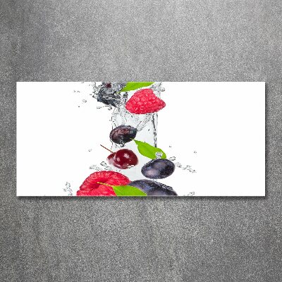 Glass acrylic wall art Fruit and water