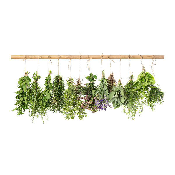 Acrylic print Herbs on a string