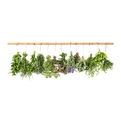 Acrylic print Herbs on a string