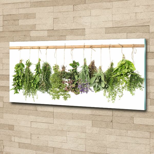 Acrylic print Herbs on a string