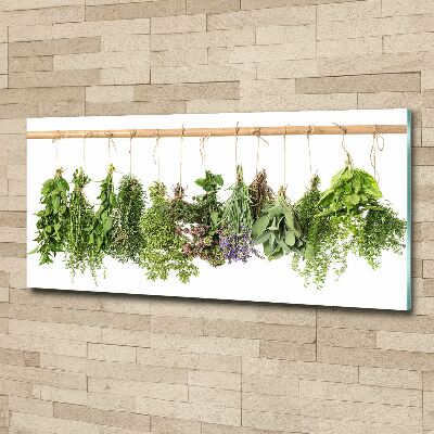 Acrylic print Herbs on a string